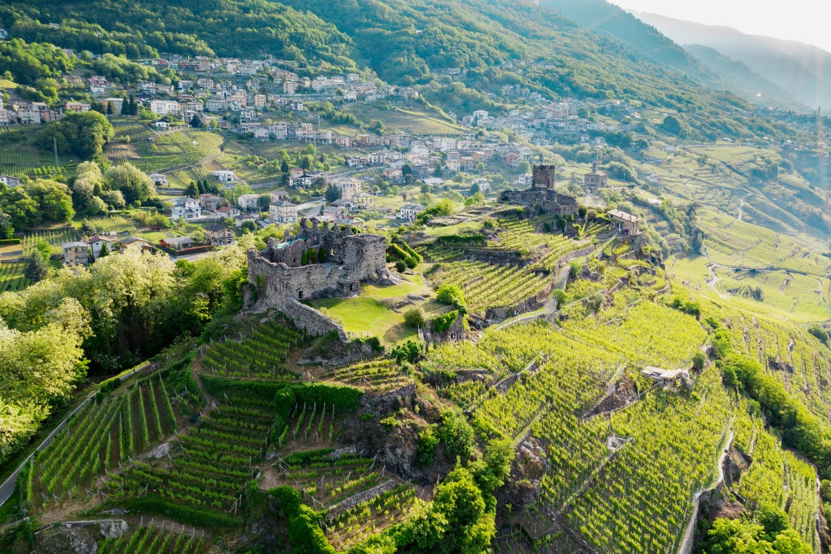 In Valtellina nasce il primo “Distretto biologico” in Lombardia