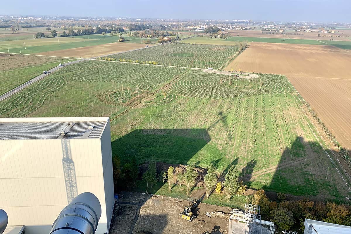 Il Bosco del Molino dalla sky room Il Bosco del Molino cresce e sviluppa progetti