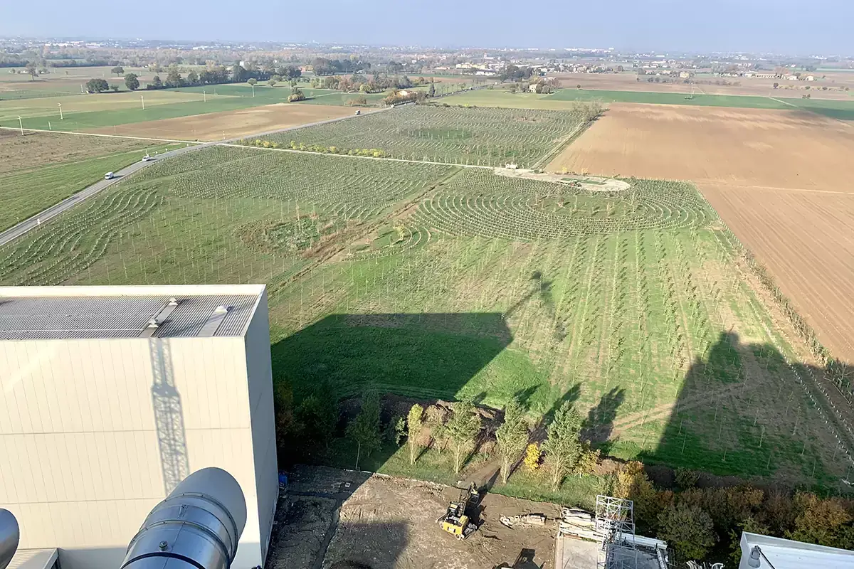 Il Bosco del Molino dalla sky room Il Bosco del Molino cresce e sviluppa progetti