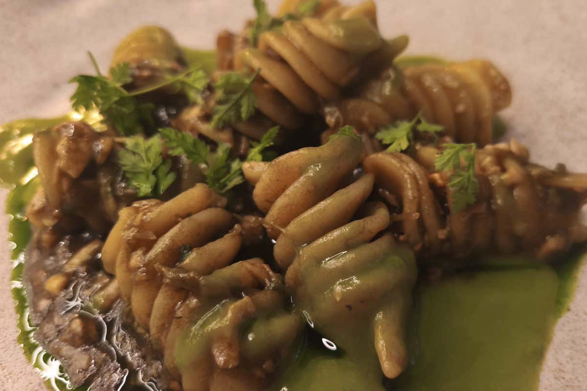 Eliconi Gragnano 28 Pastai con aglio di Voghiera Dop e ricciola