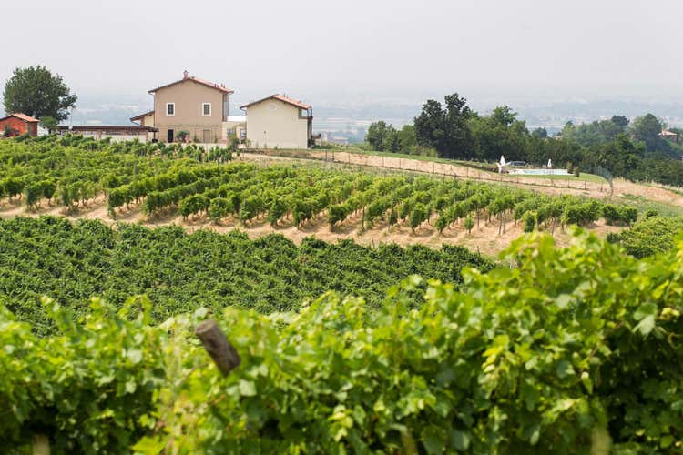 Le colline dell'Oltrep&ograve; Pavese (Cala la vendemmia in Oltrep&ograve;  Ma prende quota il Progetto Qualit&agrave;)