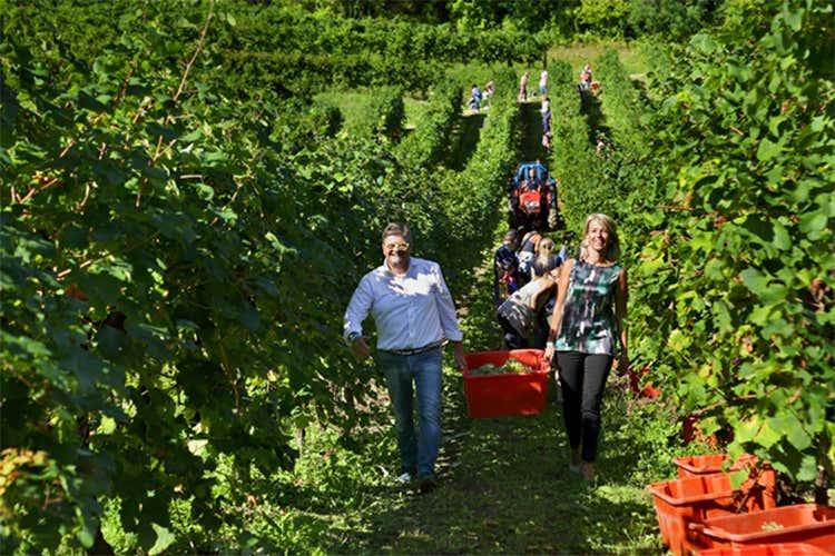 Vendemmia solidale 2015: Ernesto Balbinot, titolare de Le Manzane, con la moglie Silvana Ceschin