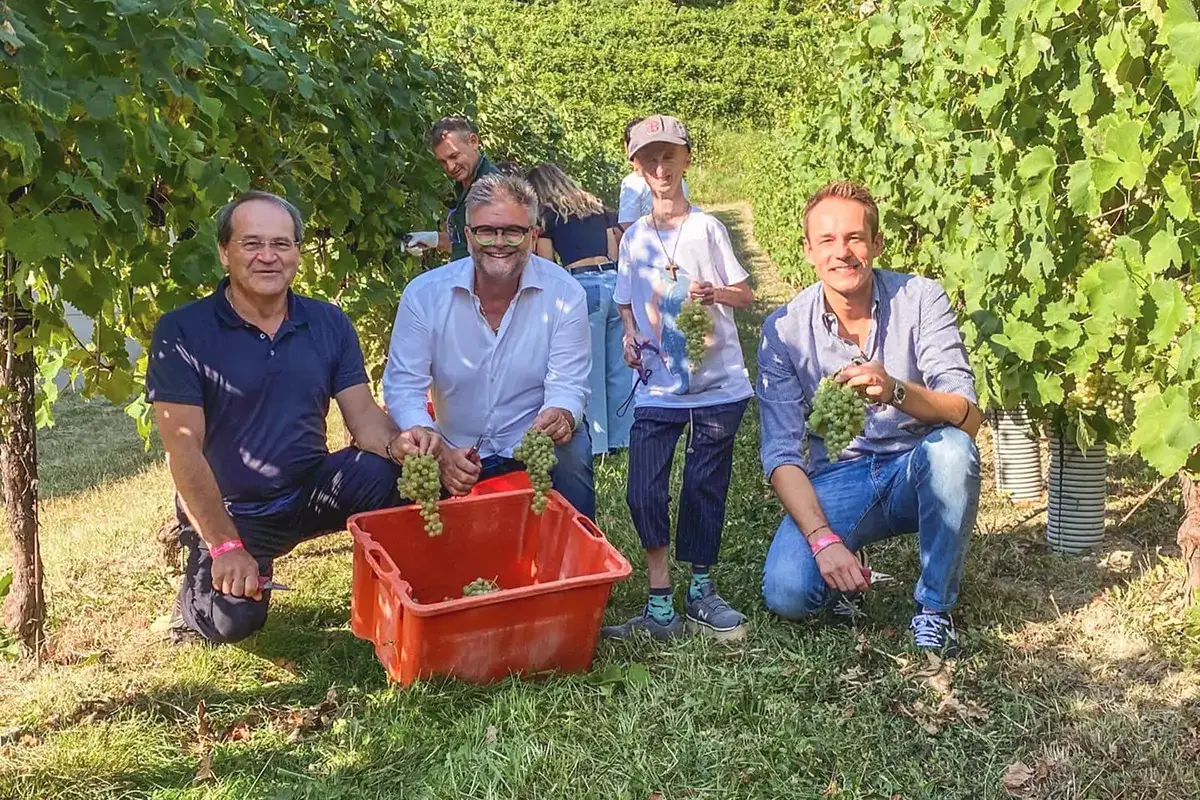 I protagonisti della Vendemmia Solidale Bottino ricco per la Vendemmia Solidale: 91 quintali di Glera per la lotta ai tumori