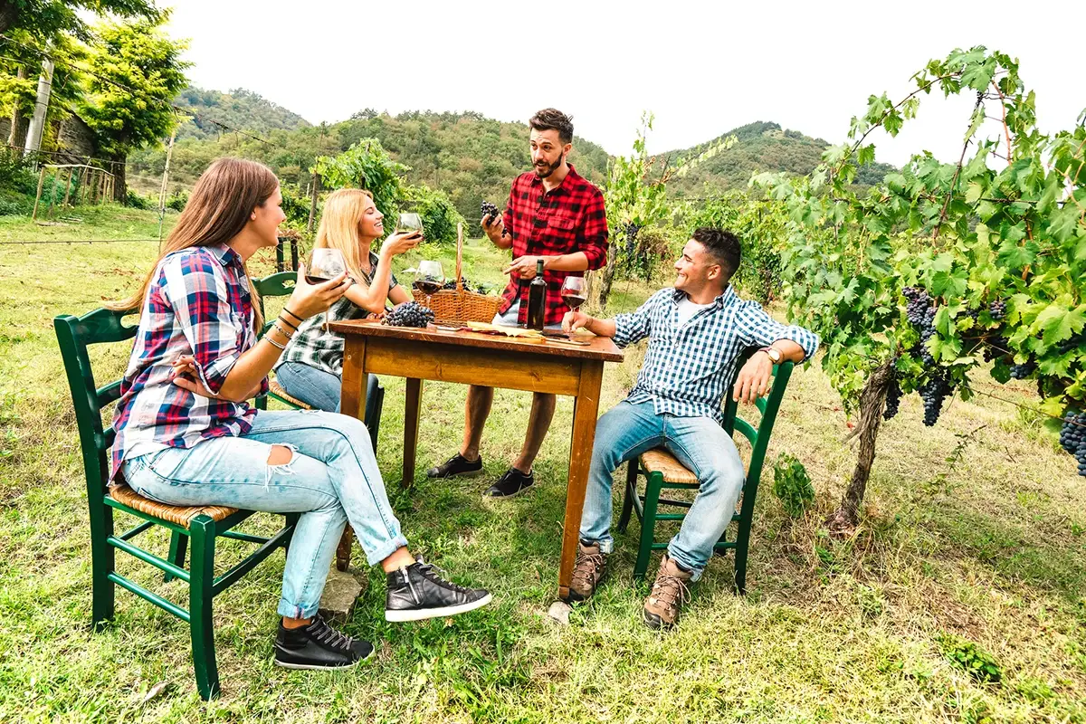 Molti in campagne dove &egrave; in pieno svolgimento la vendemmia Settembre caldo, boom di viaggiatori: sono 9 milioni