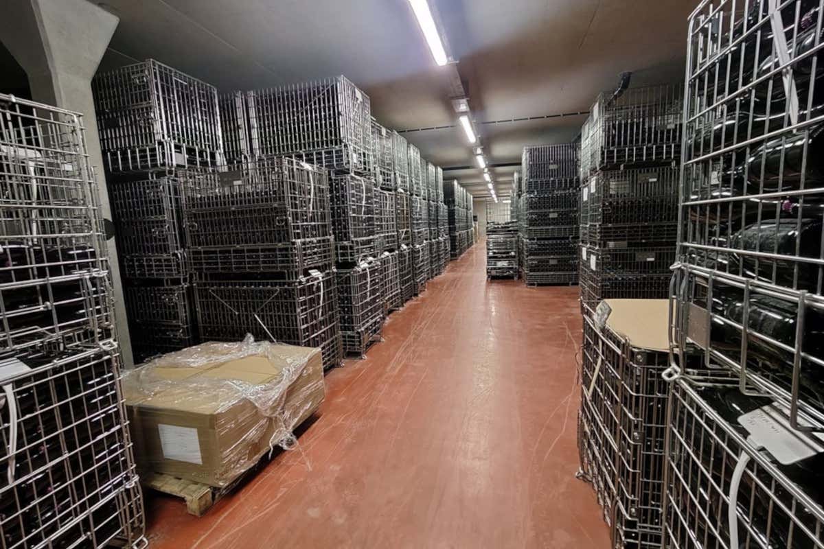 Vendemmia 2023 da record in Inghilterra: English sparkling favoriti dal meteo Vendemmia 2023 da record in Inghilterra: English sparkling favoriti dal meteo