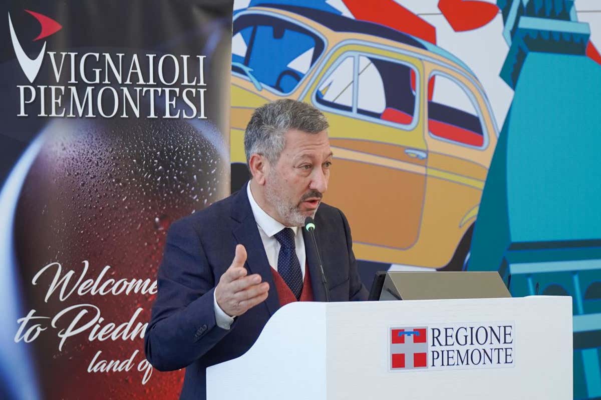 Piemonte, vendemmia 2023 difficile: brillano Freisa, Pelaverga e Ruchè