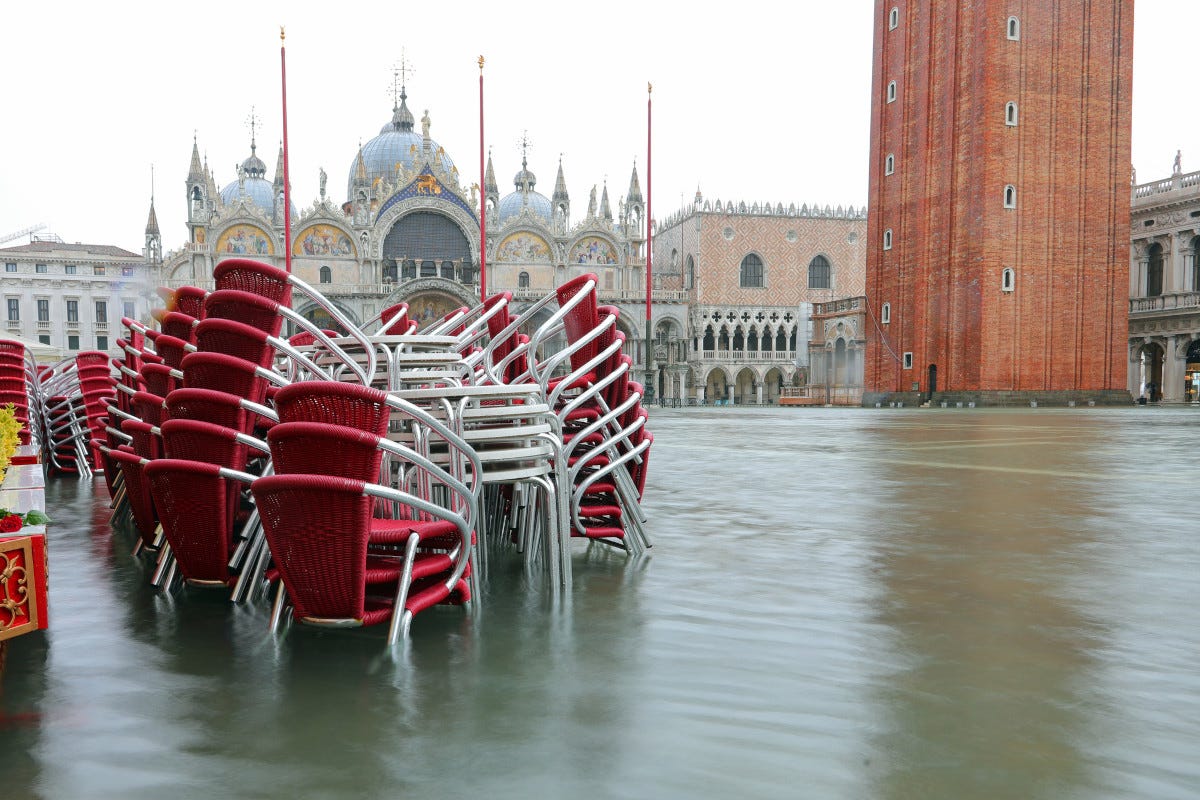 Piazza San Marco con l'acqua alta Acqua alta Venezia, bar, hotel e ristoranti in rivolta: “Non ci hanno rimborsato i danni”