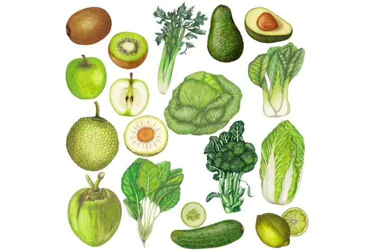  il verde fa digerire Che colore mangi? Ecco propriet&agrave; e vantaggi