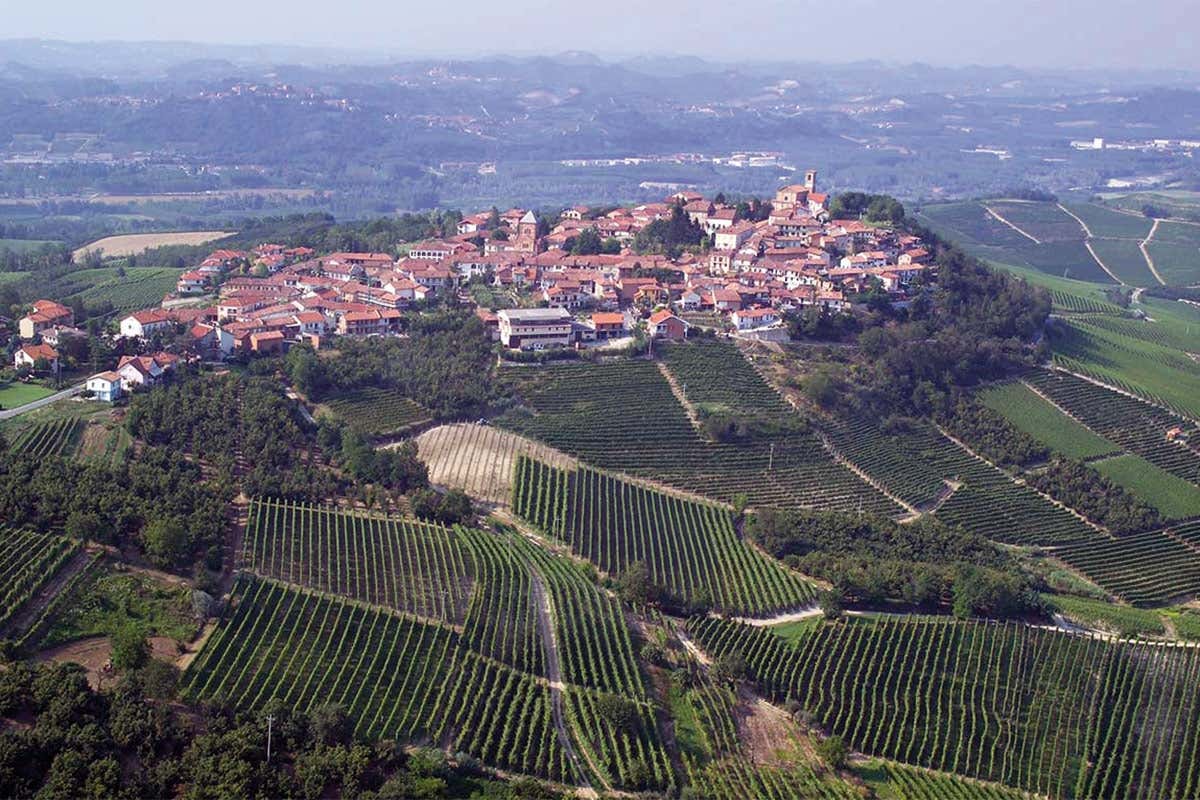 Verduno Langhe, un viaggio nel gusto e nella tradizione