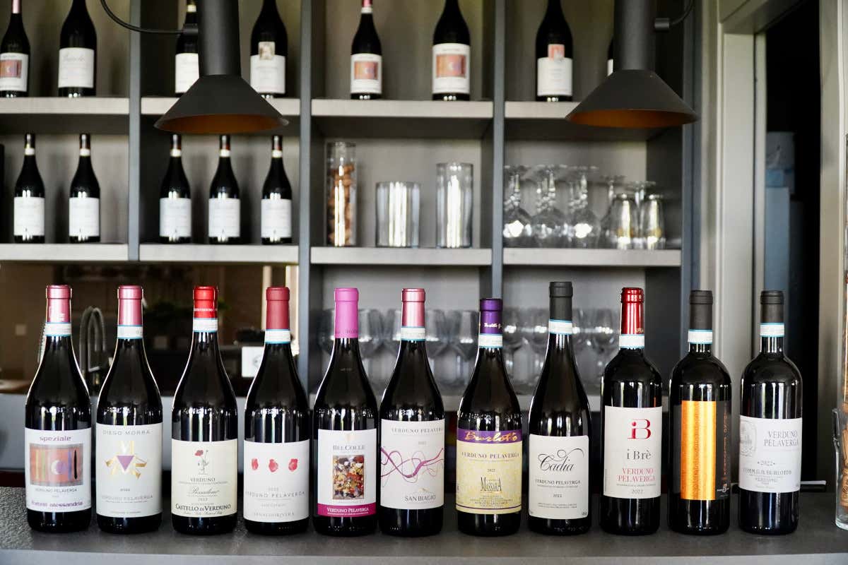 Verduno, la perla nascosta delle Langhe e il suo vitigno autoctono