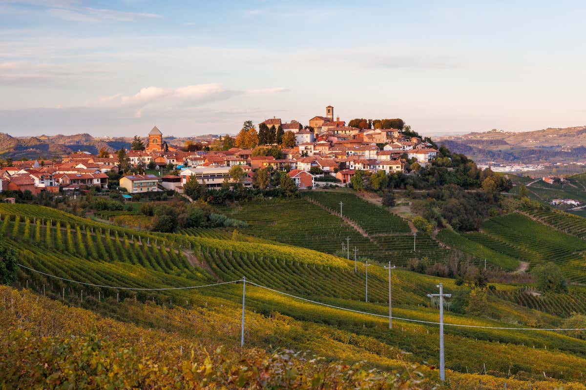 Nelle Langhe c’è un vino rosso (unico) che ha compiuto 30 anni Nelle Langhe c’è un vino rosso (unico) che ha compiuto 30 anni