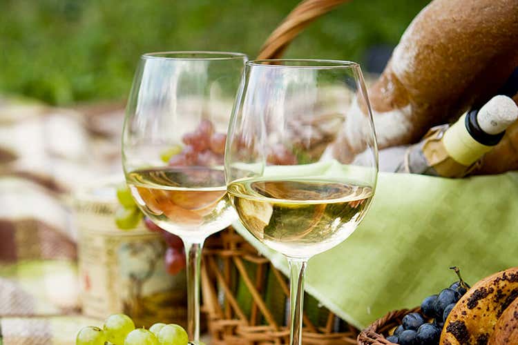 Il Vermentino rimette in moto i concorsi Concorso Enologico Vermentino Il primo