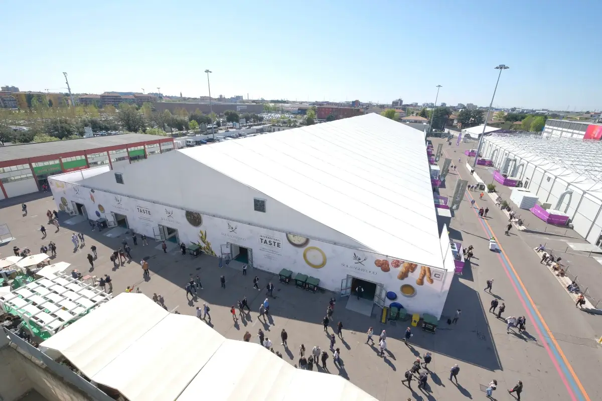Vini: nel 2022 comparto in calo
