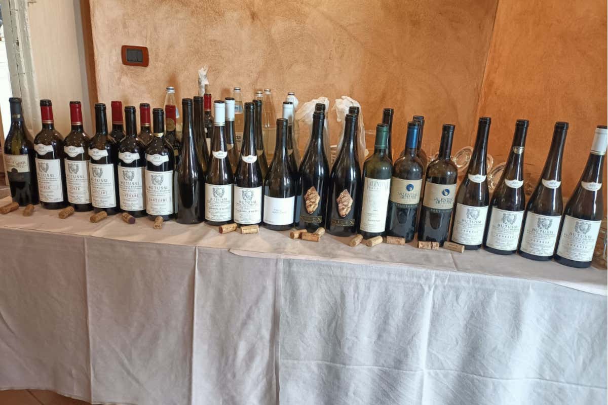 Dal Sauvignon al Picolit: le vecchie annate di Butussi sono una garanzia