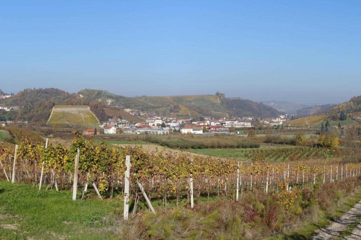 Vezza d'Alba. Fonte: Associazione Nazionale Città del Tartufo La creatività e l'intraprendenza non mancano a Vezza d'Alba dove il tartufo bianco impera