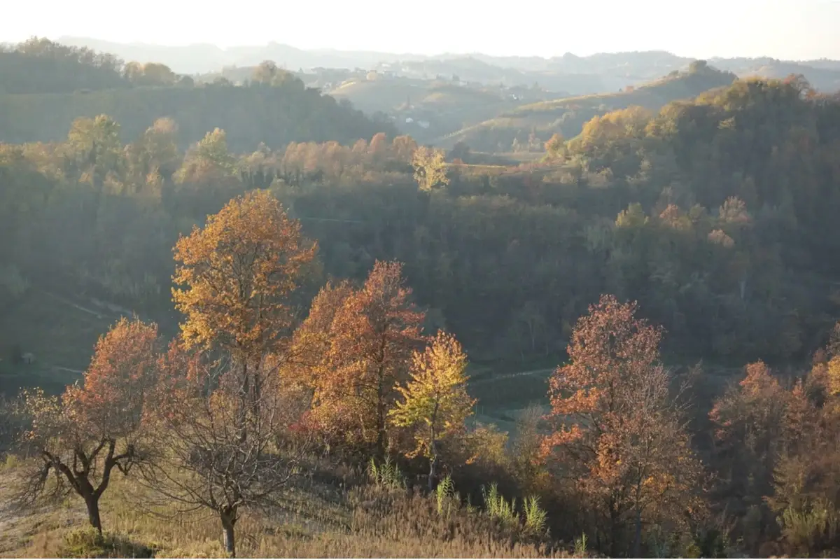 Vezza d'Alba. Fonte: Associazione Nazionale Città del Tartufo La creatività e l'intraprendenza non mancano a Vezza d'Alba dove il tartufo bianco impera