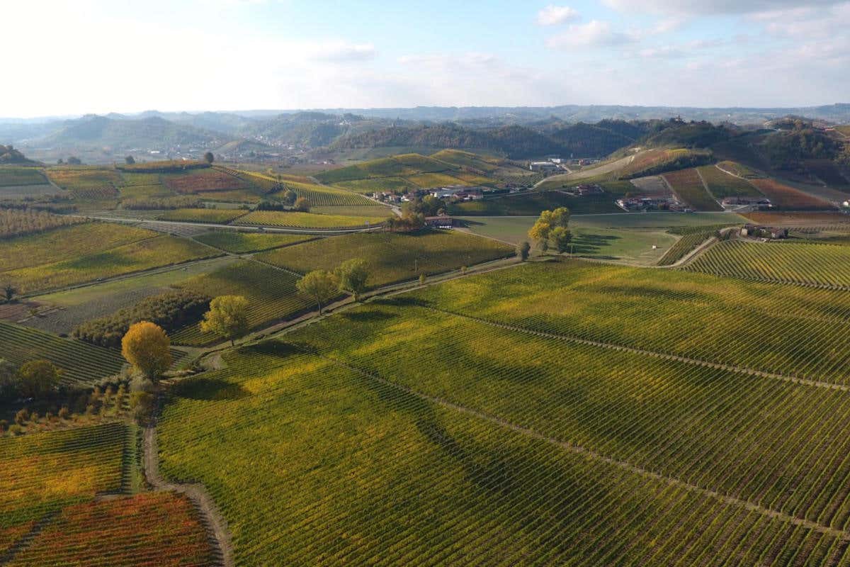 Vezza d'Alba. Fonte: Associazione Nazionale Città del Tartufo La creatività e l'intraprendenza non mancano a Vezza d'Alba dove il tartufo bianco impera