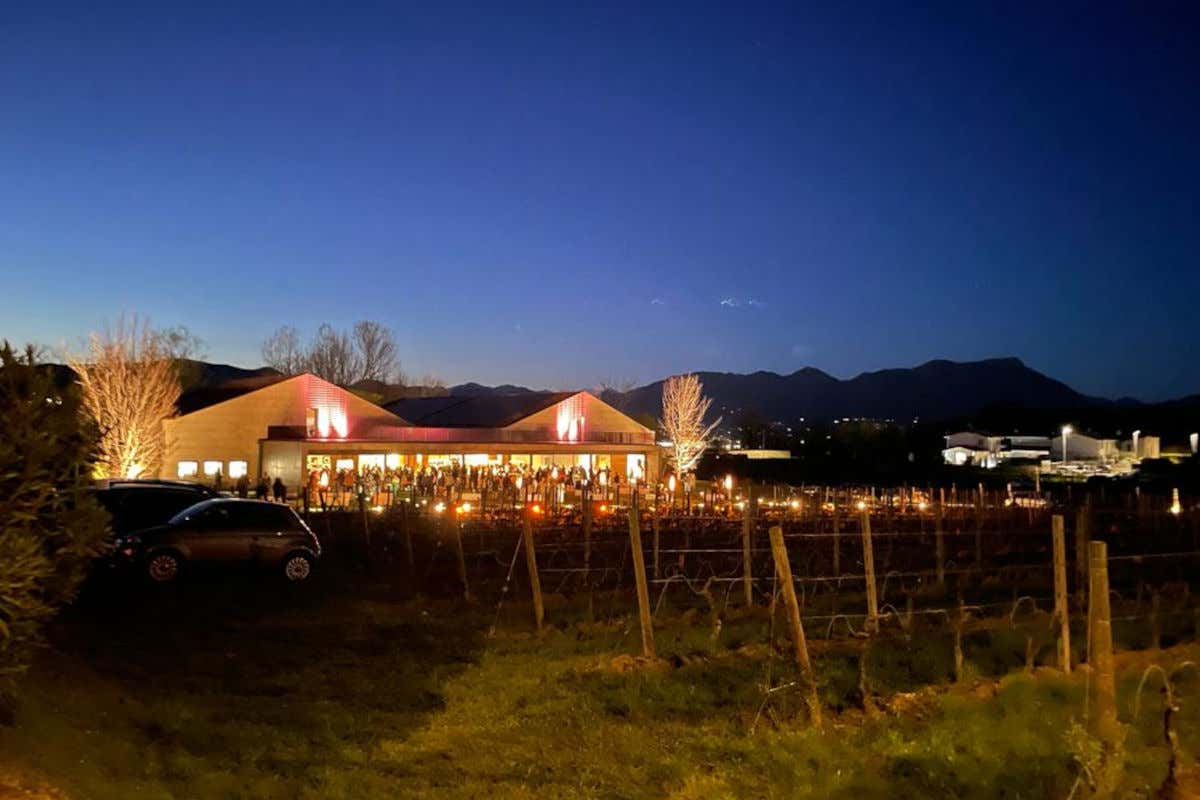 Mattia Vezzola Metodo Classico: 50 anni spumeggianti