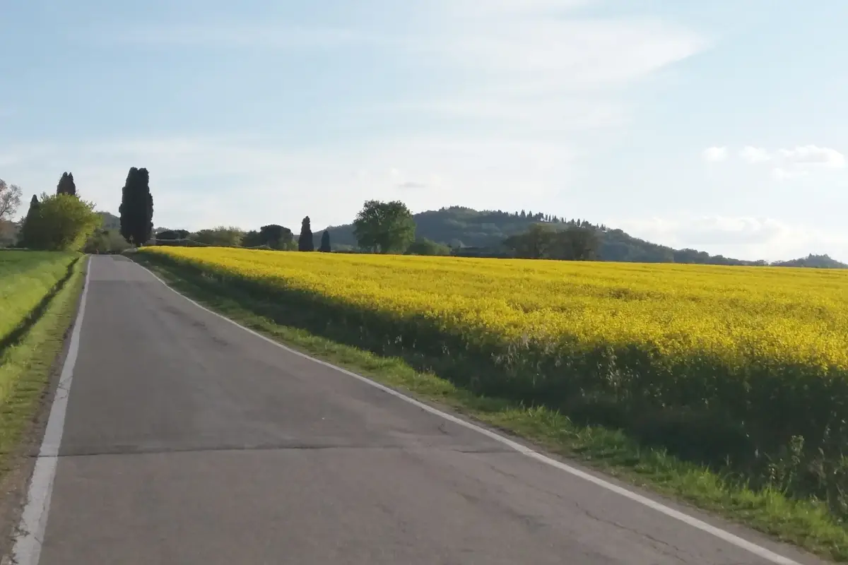 Via S.Andrea (credito Foto: Elisa Cer&egrave;) Ozzano dell&rsquo;Emilia: una citt&agrave; dove il passato si fonde col presente