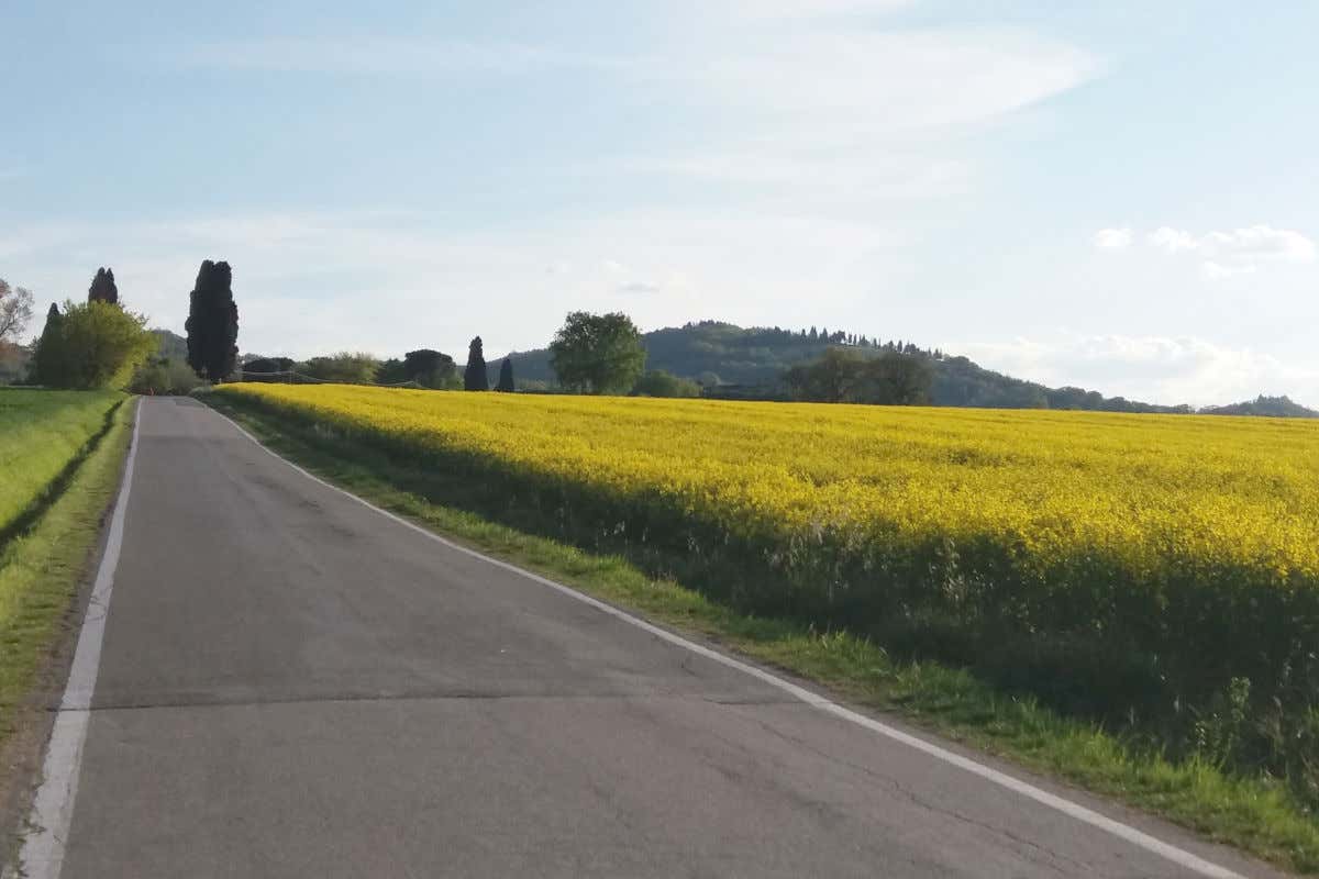 Via S.Andrea (credito Foto: Elisa Cerè) Ozzano dell’Emilia: una città dove il passato si fonde col presente
