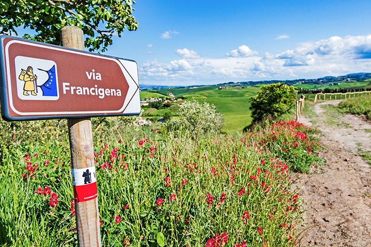 Via Francigena  Francigena Fidenza Festival, la bellezza del cammino dove è nata l'Europa