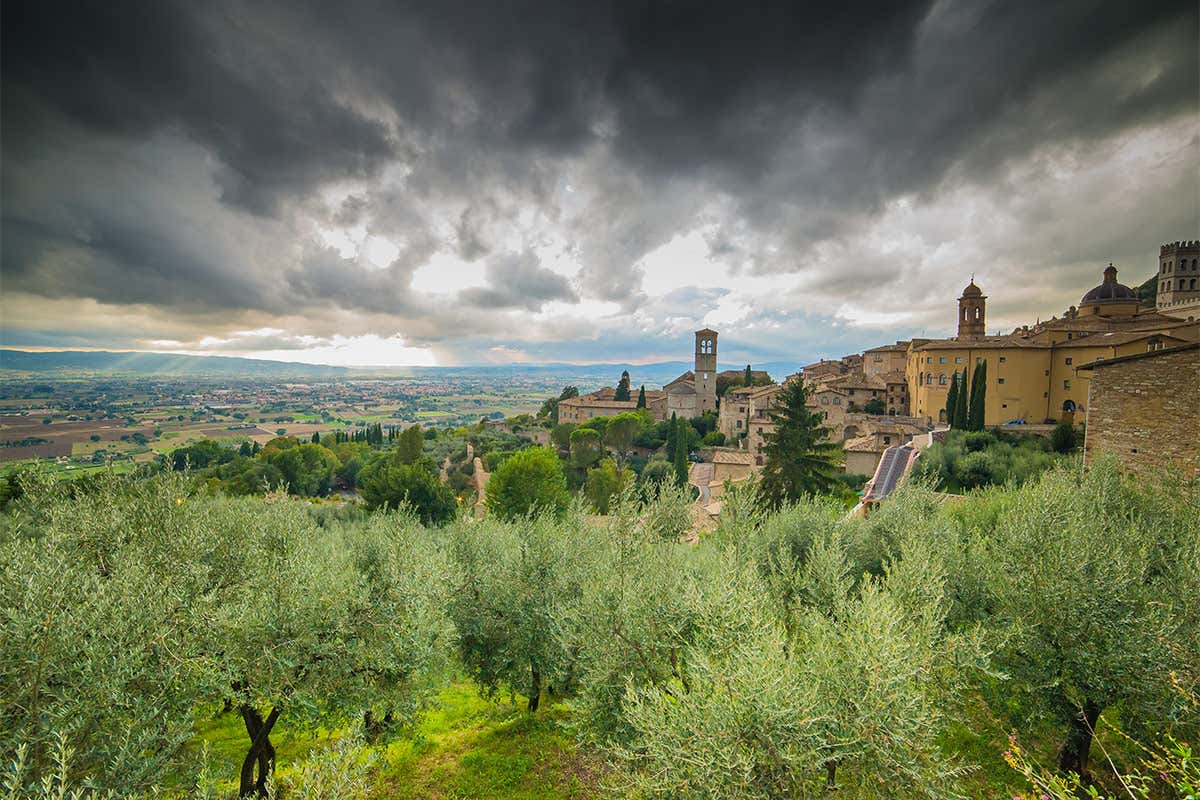 La via umbra dell&rsquo;olio per un cammino nel gusto