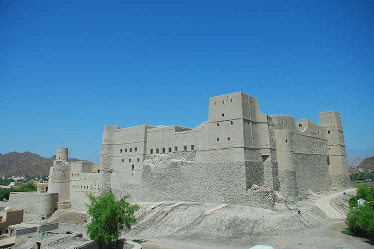 (In viaggio lungo la via dell'incenso Oman, tra deserto e tradizioni)