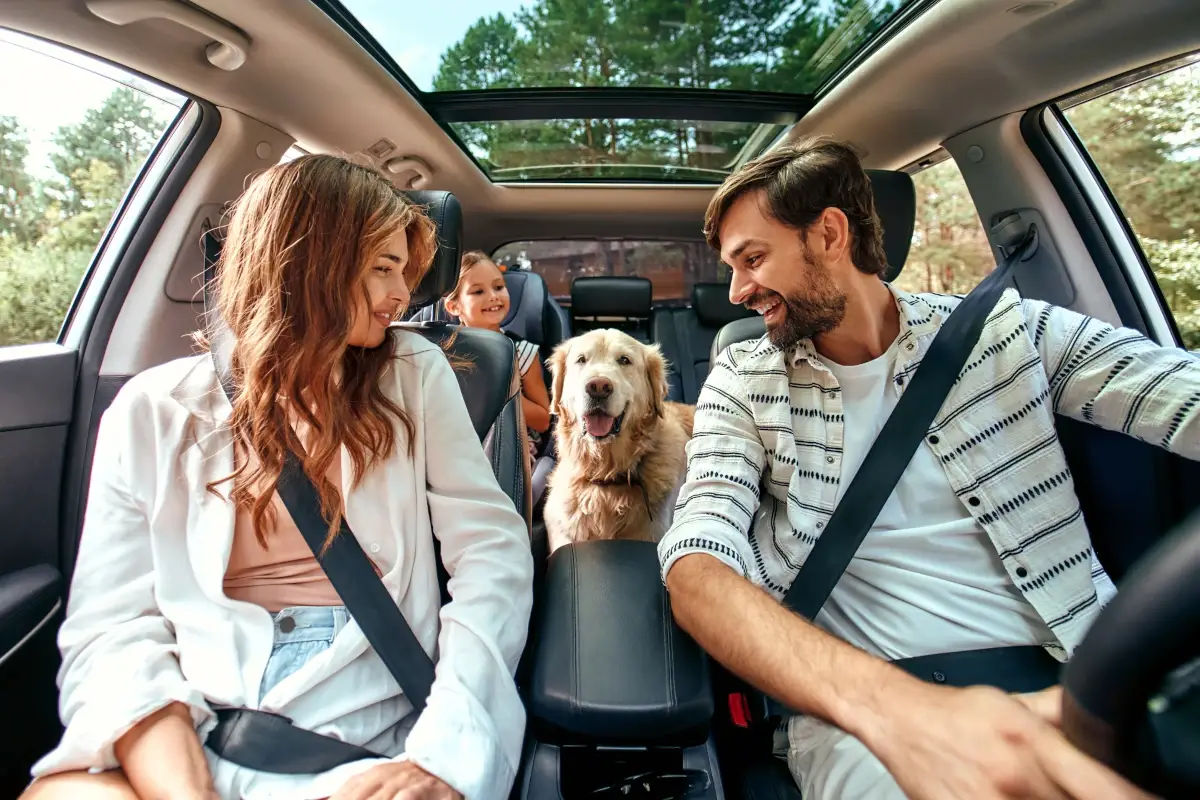 Noleggiare un’auto? Ecco quanto cosa in Italia in inverno e in estate