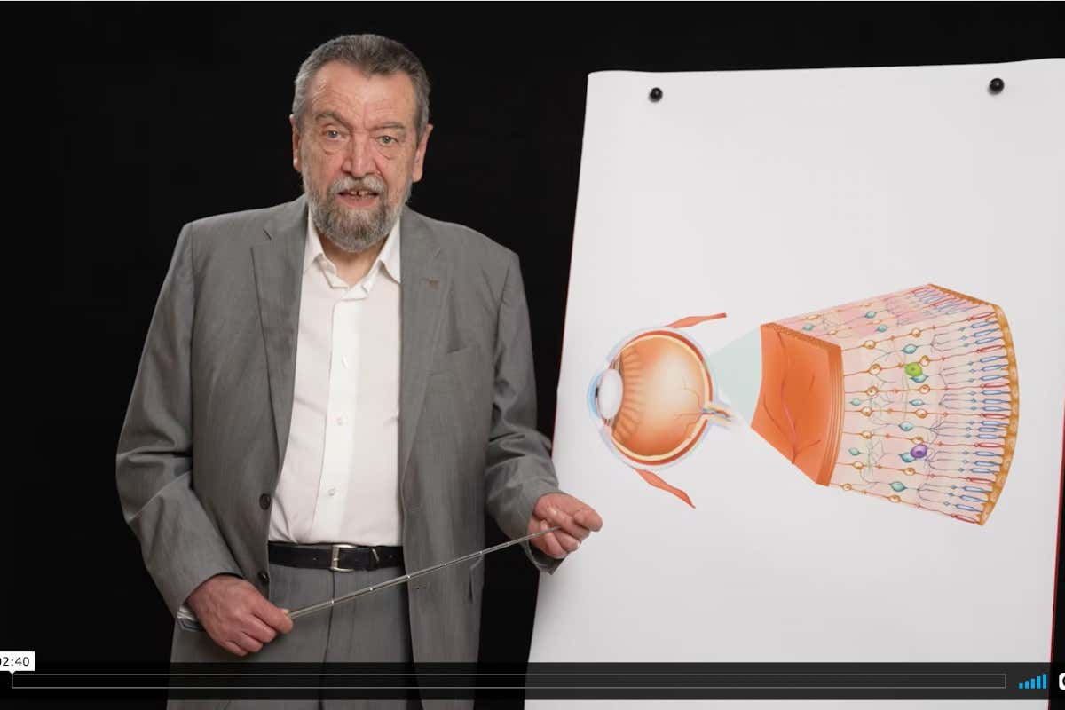 Videolezione di Luigi Odello L'Iiac lancia il videocorso di psicofisiologia sensoriale per il caffè