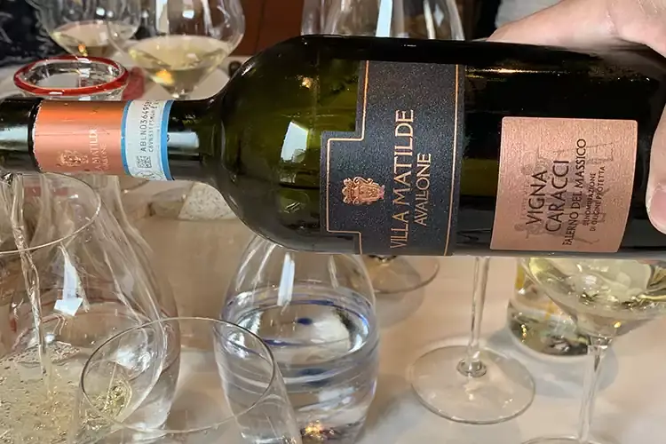 Vigna Caracci Falerno del Massico Dop 2017 Villa Matilde Avallone: passato e futuro si intrecciano in vigna