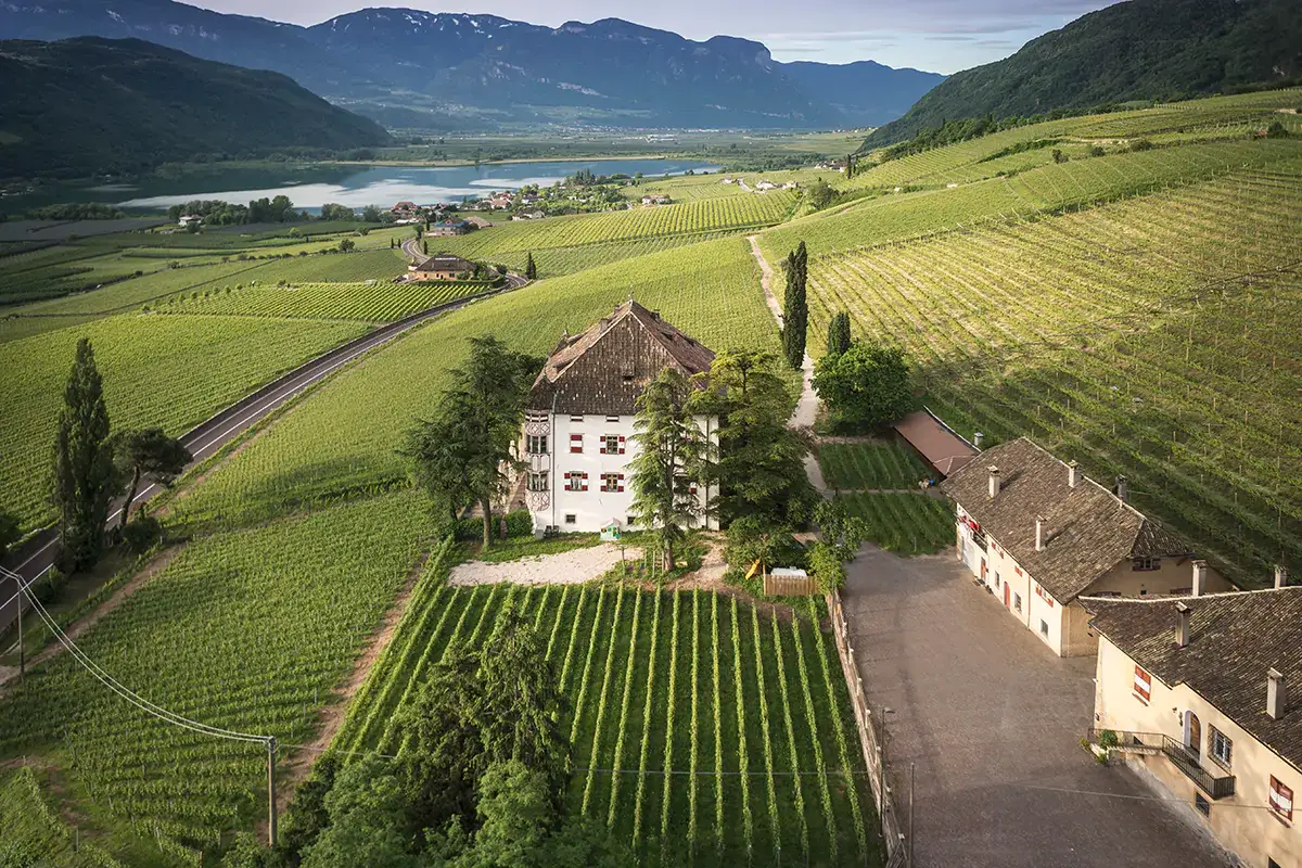 La vigna del Castel Ringberg Elena Walch presenta la Gran Cuv&eacute;e Aton, Pinot Noir Riserva 2017 Alto Adige Doc
