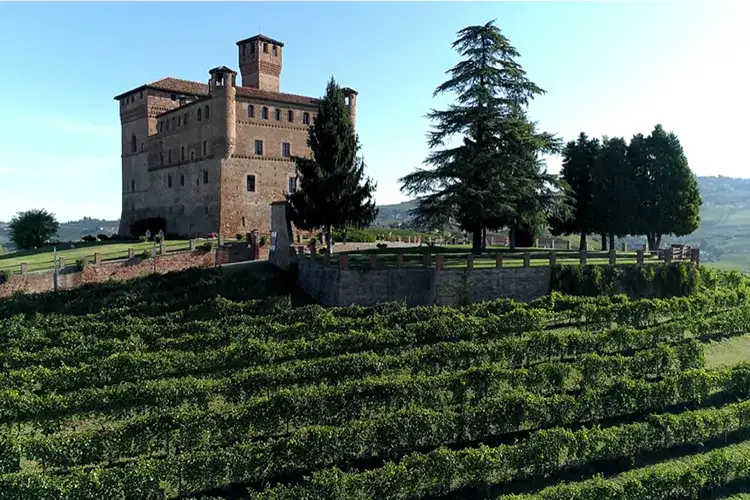 Il vigneto del Castello di Grinzane Cavour Barolo en primeur 2021, asta di solidariet&agrave; e gusto per sostenere il territorio