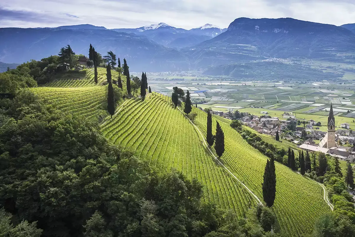 Vigna Kastelaz Alto Adige: il matriarcato di Casa Walch