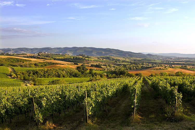 Wine Spectator celebra Lungarotti Produce vini di livello mondiale