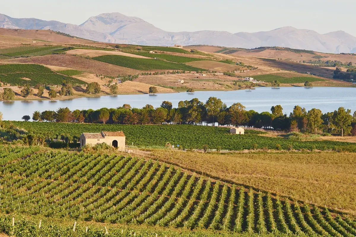 L'enoturismo &egrave; un asset formidabile per il Paese Come e quanto l&rsquo;enoturismo incide sul ricavi delle cantine