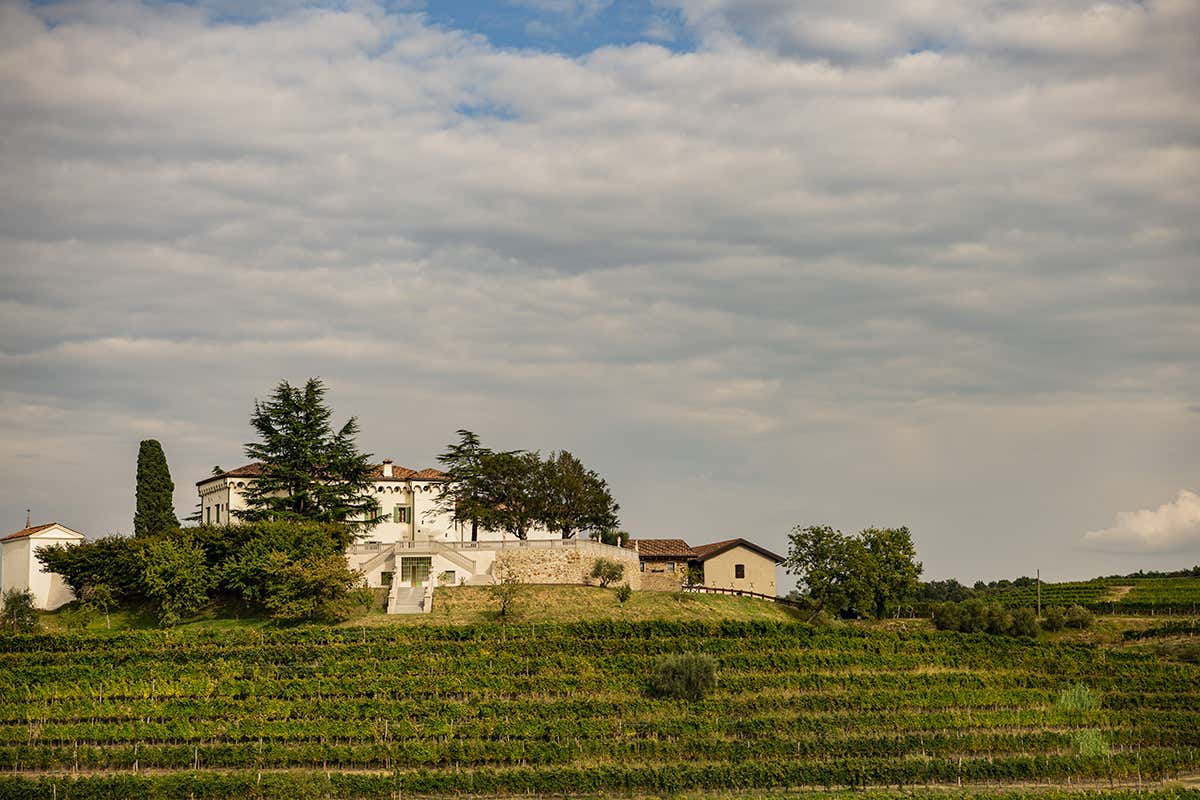 Palazzo De Marchi, sede di Torre Rosazza, è circondato dai vigneti Torre Rosazza, quintessenza del Friuli Palazzo De Marchi, sede di Torre Rosazza, è circondato dai vigneti Torre Rosazza, quintessenza del Friuli