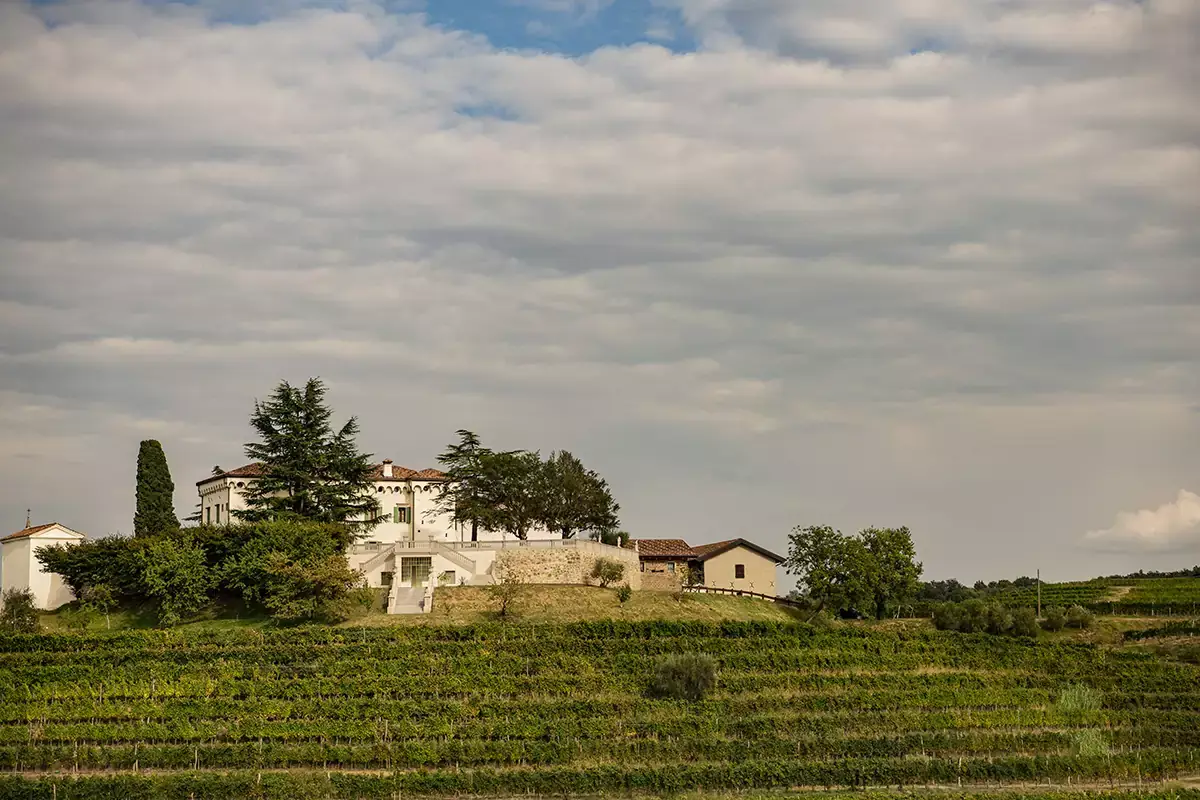 Palazzo De Marchi, sede di Torre Rosazza, &egrave; circondato dai vigneti Torre Rosazza, quintessenza del Friuli