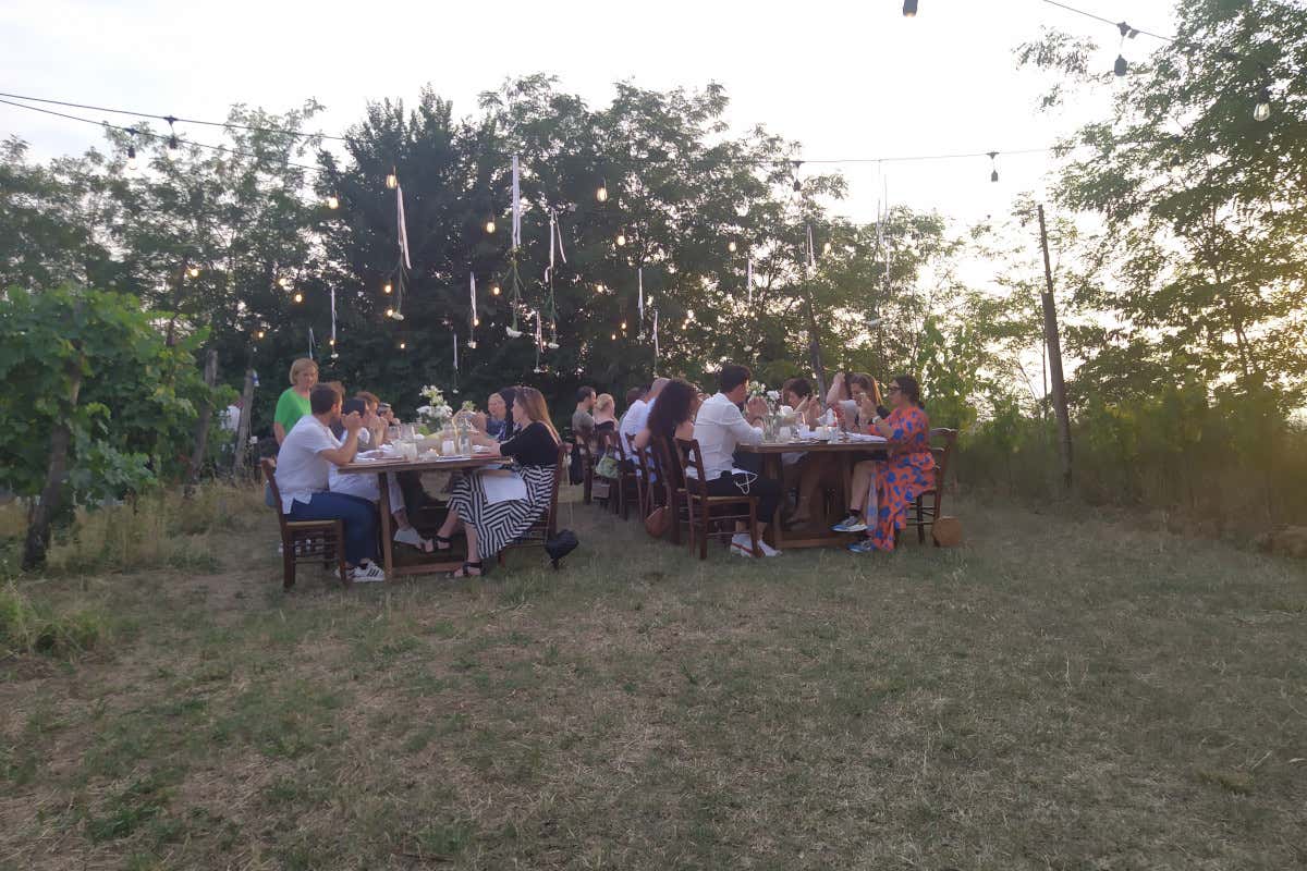 Cantina Lazzari: una cena e “quattro giovani” isolati in vigna