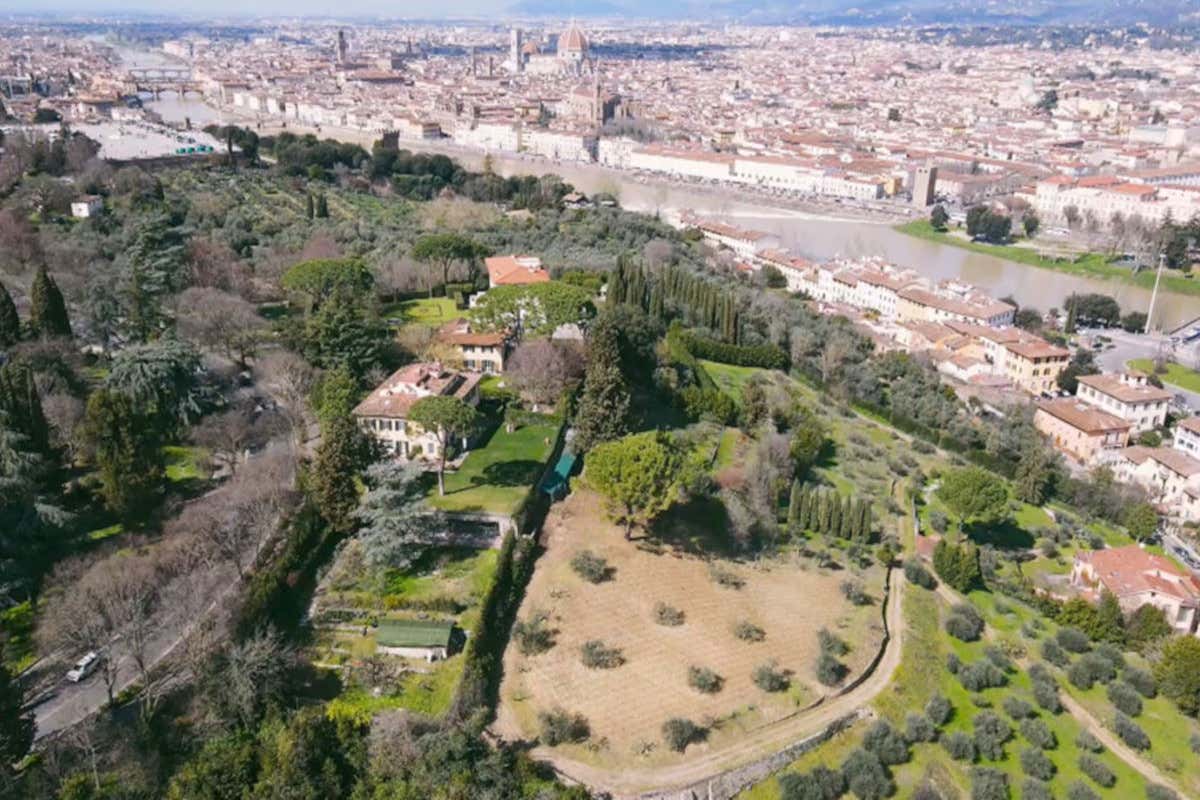 Nella vigna urbana di Firenze messe a dimora 700 barbatelle di vigneti toscani