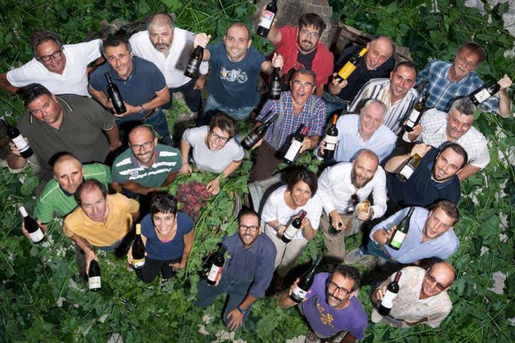 Vignaioli tortonesi (Il Timorasso si racconta a Tortona Due giorni con Derthona due.zero)