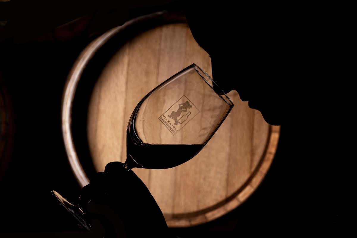 Cesconi (Fivi): «La nostra forza è la tipicità. Vini dealcolati? No, grazie»