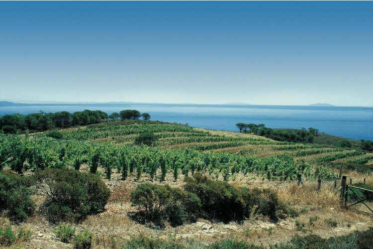 Ad agosto in Toscana c’è una… StraFesta