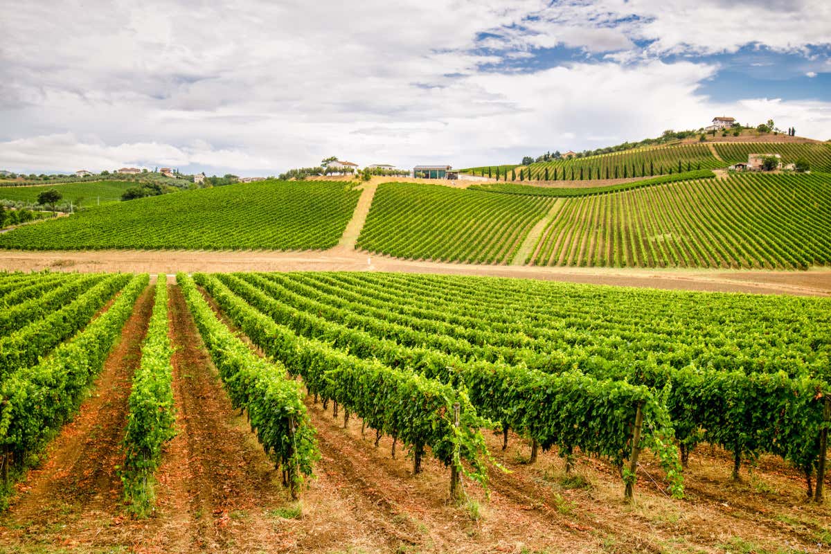 Abruzzo, prove generali della “Montepulciano Revolution”: «Più territorio nei calici»