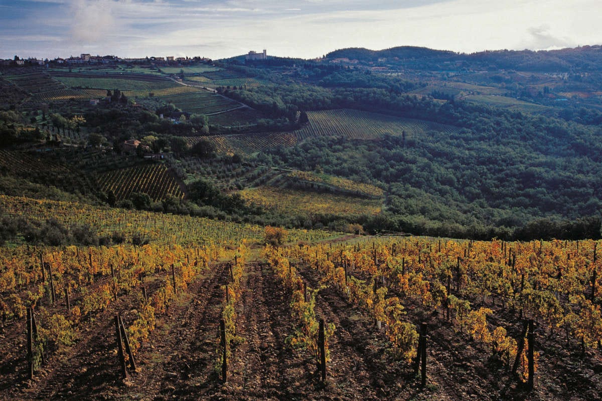 Castellare di Castellina, vini di gran classe nel Chianti Classico