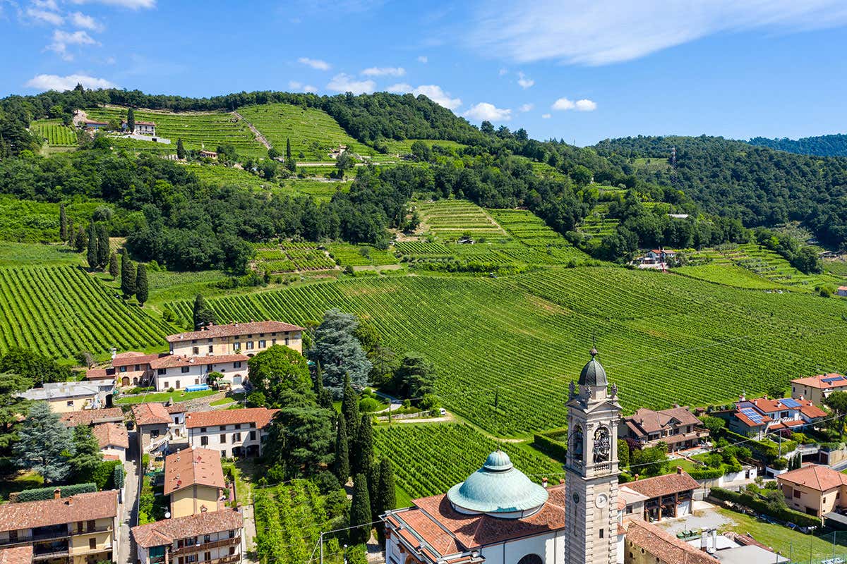 Perché modificare il Disciplinare di produzione Valcalepio Doc
