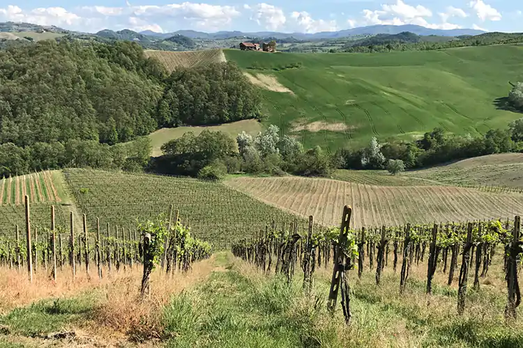 La Winefulness experience &egrave; un evento dedicato alle donne che unisce tasting e consapevolezza Cacciare lo stress e ritrovarsi? Con la Winefulness experience
