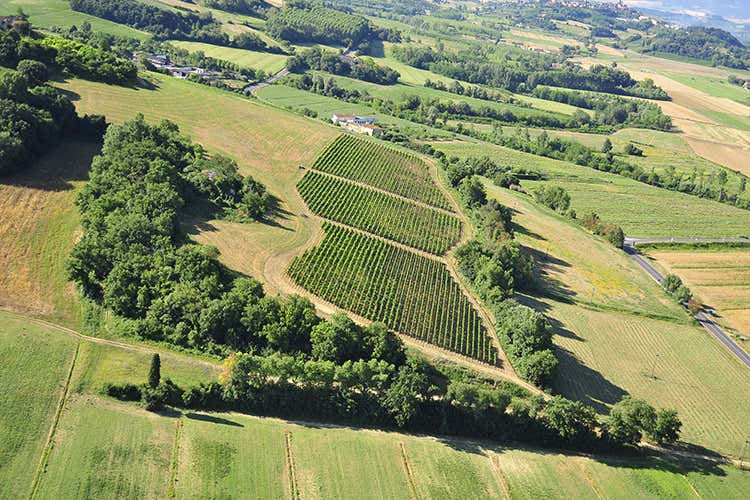A Villa Saletta si investe per l’enoturismo di lusso A Villa Saletta si investe per l’enoturismo di lusso