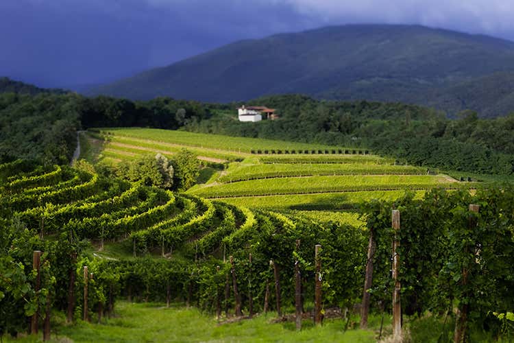 Zorzettig presenta I Fiori di Leonie Un Doc Friuli dal lungo affinamento