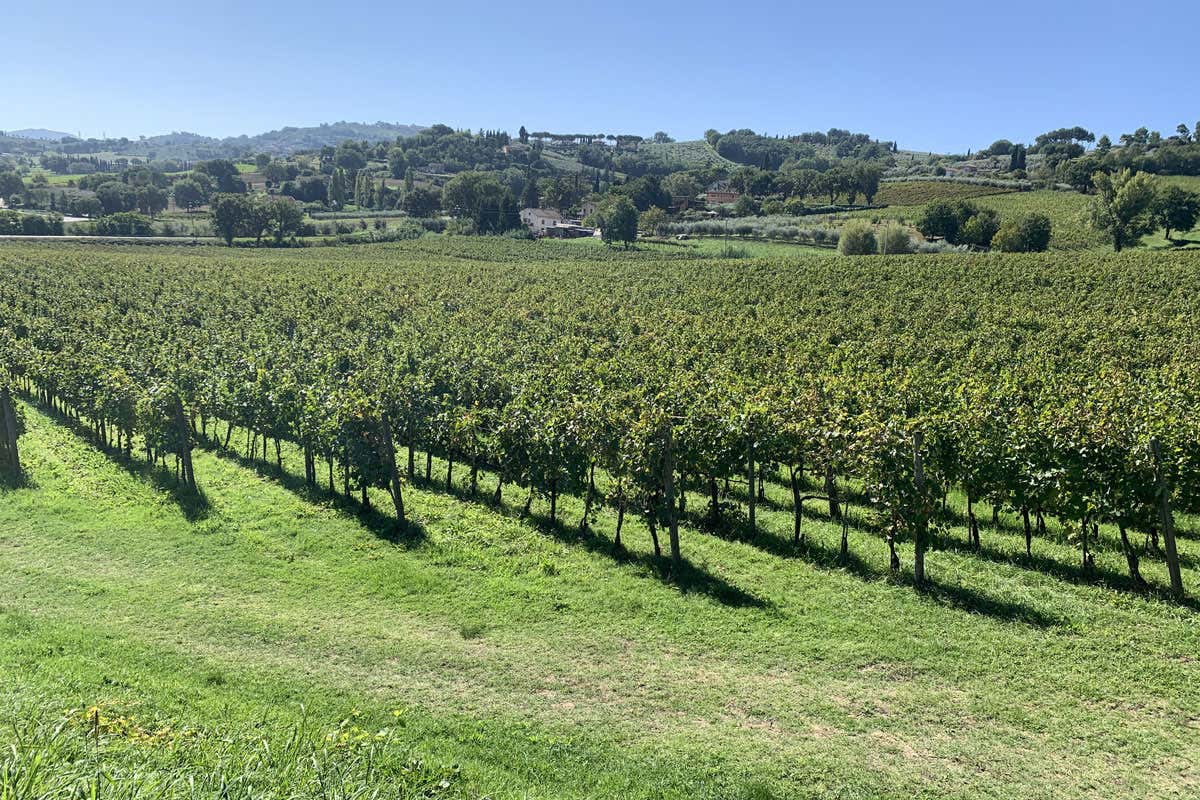 La Francescana Ciclostorica: bici d’epoca nell’Umbria dell’accoglienza 