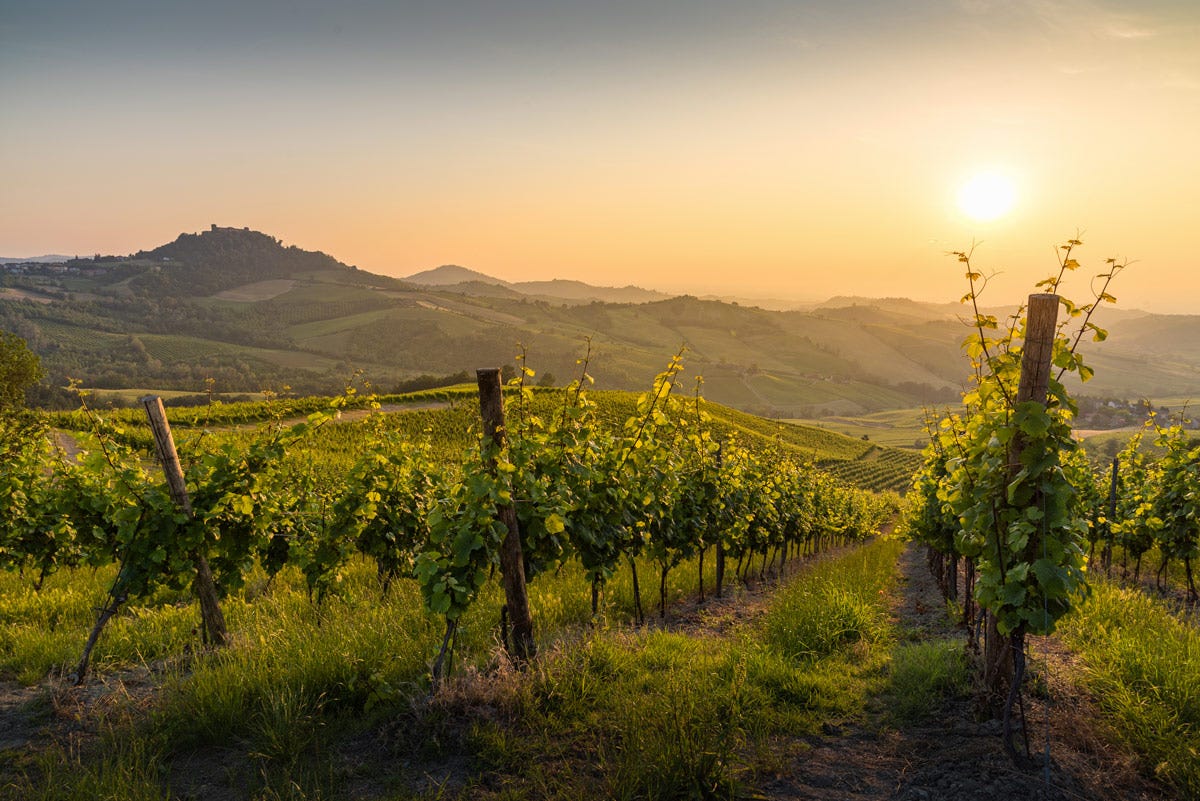 Nell'Oltrepoò Pavese si produce circa il 65 per cento del vino in Lombardia Oltrepò Pavese dove il vino va a braccetto con la bicicletta